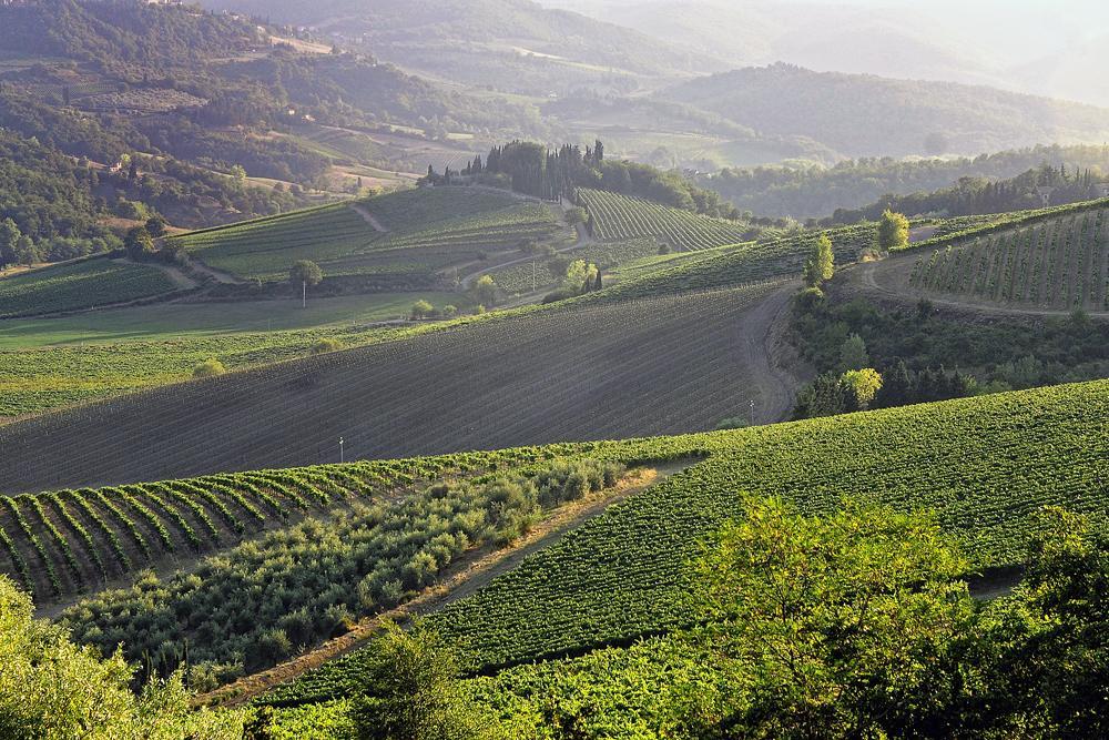 Fattoria Poggerino Bed and Breakfast Radda in Chianti Δωμάτιο φωτογραφία