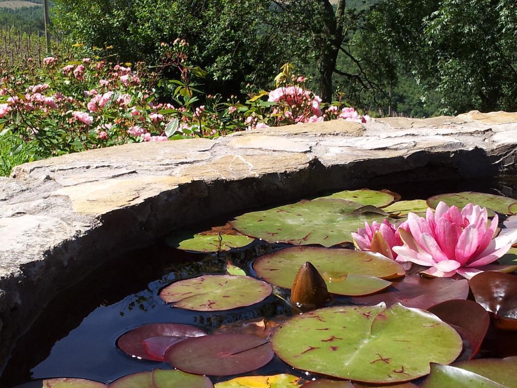 Fattoria Poggerino Bed and Breakfast Radda in Chianti Δωμάτιο φωτογραφία