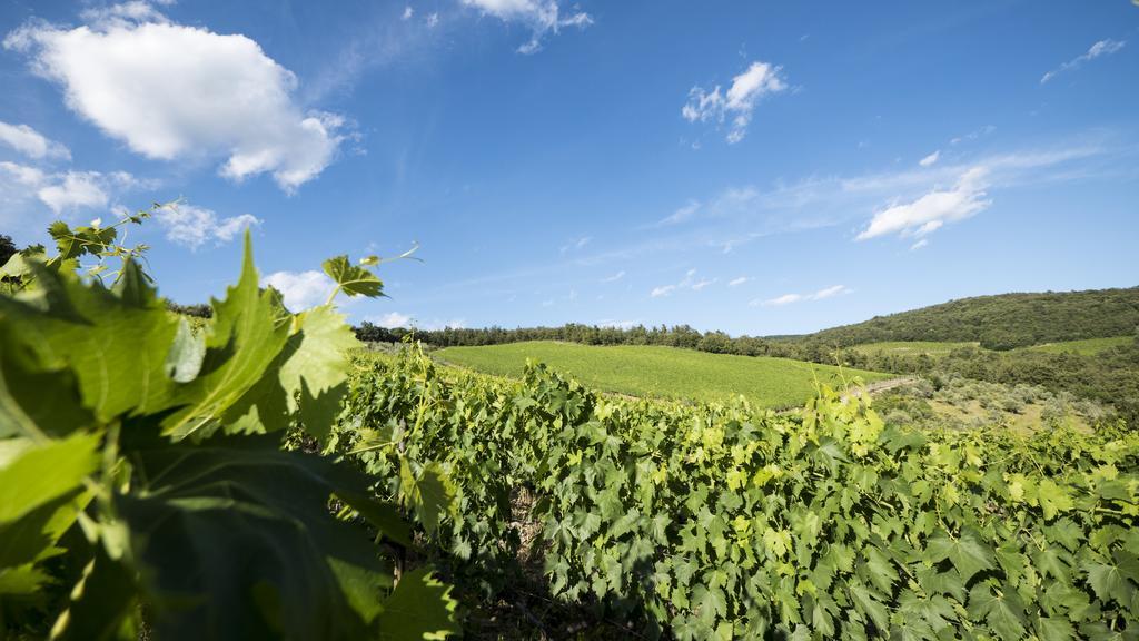 Fattoria Poggerino Bed and Breakfast Radda in Chianti Εξωτερικό φωτογραφία